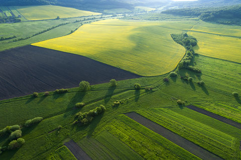 Field countryside